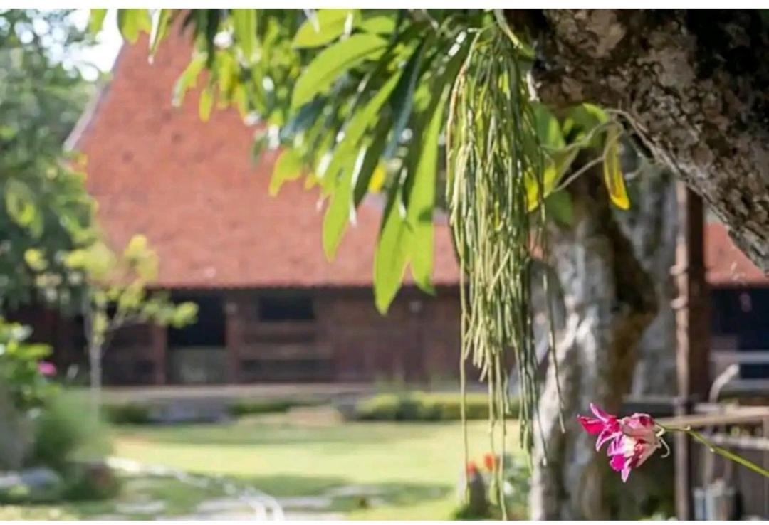 Damai Otel Canggu Dış mekan fotoğraf